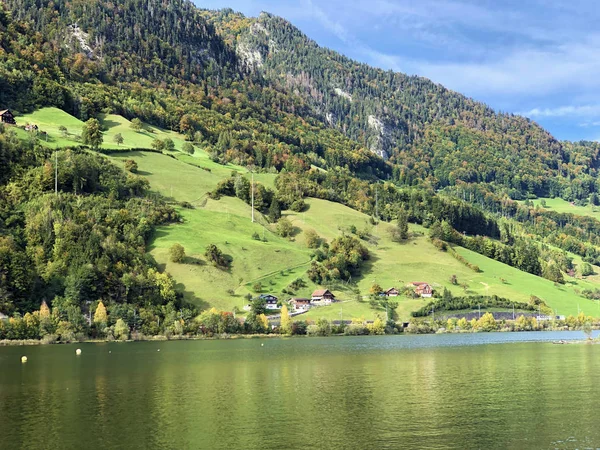 ルツェルン湖またはヴィエルヴァルトシュターテテルゼー湖 Vierwaldstattersee とアルパヘルセ湖 Alpnachersee Lake Alpnach Canton Obwalden Switzerland の木々や混交林 — ストック写真