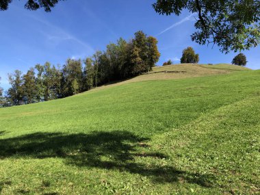 Lucerne Gölü veya Vierwaldstaetersee Gölü (Vierwaldstattersee) ve Alpnachersee Gölü, Alpnach - Obwalden Kantonu, İsviçre