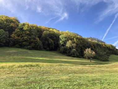 Lucerne Gölü veya Vierwaldstaetersee Gölü (Vierwaldstattersee) ve Alpnachersee Gölü, Alpnach - Obwalden Kantonu, İsviçre