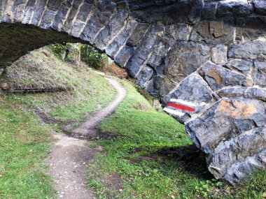 Lucerne Gölü veya Vierwaldstaetersee Gölü (Vierwaldstattersee) ve Alpnachersee Gölü, Alpnach - İsviçre Obwalden Kantonu 'nun yamaçlarında yürüyüş ve yürüyüş yolları
