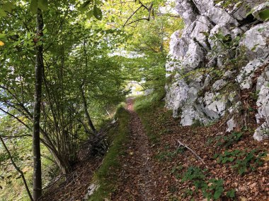 Lucerne Gölü veya Vierwaldstaetersee Gölü (Vierwaldstattersee) ve Alpnachersee Gölü, Alpnach - İsviçre Obwalden Kantonu 'nun yamaçlarında yürüyüş ve yürüyüş yolları