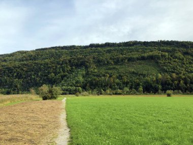 Alpnachersee, Alpnach - Obwalden Kantonu, İsviçre Alpnachersee Alp Gölü boyunca yürüyüş ve dinlenme yolları