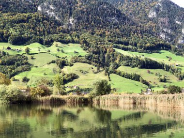 Naturschutzzone Staederried veya Staderried, Alpnachstad - Obwalden Kantonu veya Obwald Kantonu, İsviçre