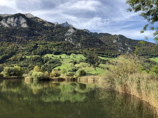 Naturschutzzone Staederried Staderried Alpnachstad Kanton Obwalden Kanton Obwald Zwitserland — Stockfoto