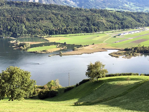 Naturschutzzone Staederried Staderried Alpnachstad Cantón Obwalden Cantón Obwald Suiza — Foto de Stock