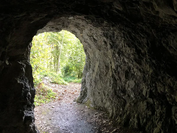 Горнодобывающие Тоннели Пилатусом Альпнах Кантон Обвальден Кантон Обвальд Швейцария — стоковое фото