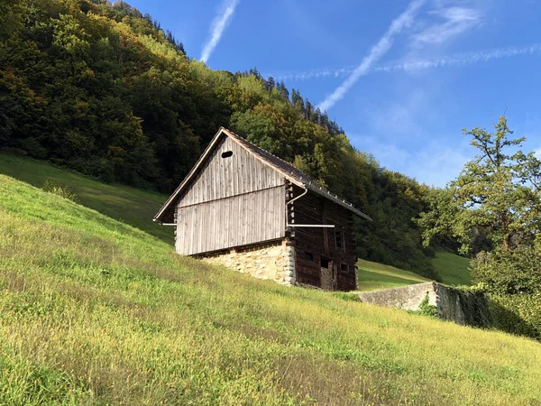 ルツェルン湖やヴィエルヴァルト湖 Vierwaldstattersee アルパヘルシー湖 Alpnachersee Lake Alpnach の斜面にある伝統的な建築と農家 スイスのオバルデン州 — ストック写真