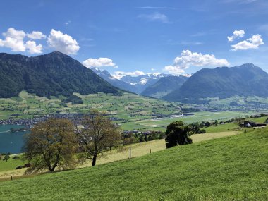 Luzerne Gölü kıyısındaki dağların yamaçlarında ve tepelerdeki çayırlarda (Vierwaldstaettersee) Nidwalden Kantonu, İsviçre
