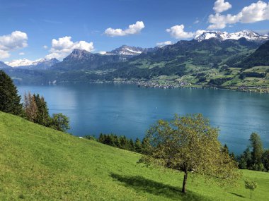 Luzerne Gölü kıyısındaki dağların yamaçlarında ve tepelerdeki çayırlarda (Vierwaldstaettersee) Nidwalden Kantonu, İsviçre