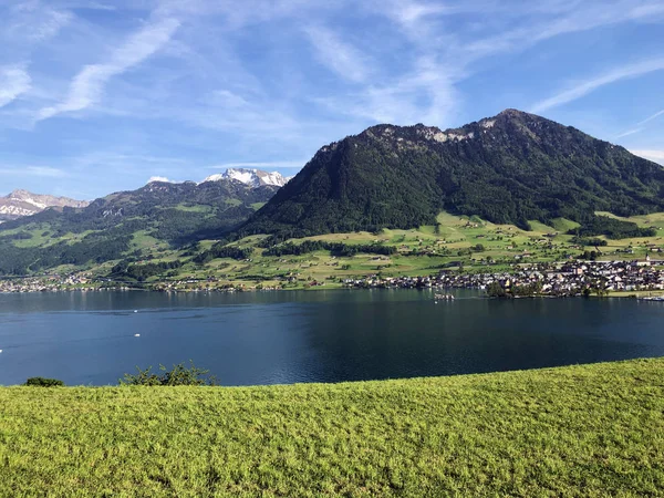 アルプスの牧草地や丘のグレーズとルツェルン湖に沿って山の斜面に牧草地 Vierwaldstatetersee Vierwaldsattersee スイス ナイドルデンのカントン — ストック写真