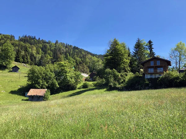 山の斜面にある農村部の農場や牧草地ルソン湖またはVierwaldstatetersee Vierwaldsattersee の上のBrgenstock BuergenstockまたはBurgenstock Nidwalden Switzerlandのカントン — ストック写真