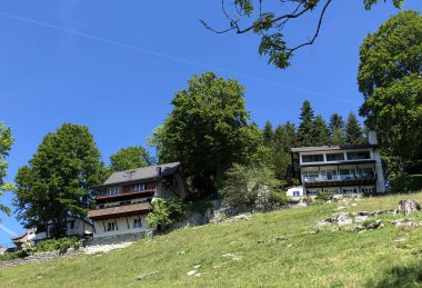 Luzerne Gölü veya Vierwaldstaettersee ya da Vierwaldsattersee 'nin yukarısındaki Burgenstock Dağı veya Buergenstock yamaçlarındaki karışık ağaçlar ve yaprak döken ormanlar İsviçre' nin Nidwalden Kantonu