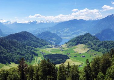 Luzerne Gölü veya Vierwaldstaettersee ya da Vierwaldsattersee 'nin yukarısındaki Burgenstock Dağı veya Buergenstock yamaçlarındaki karışık ağaçlar ve yaprak döken ormanlar İsviçre' nin Nidwalden Kantonu
