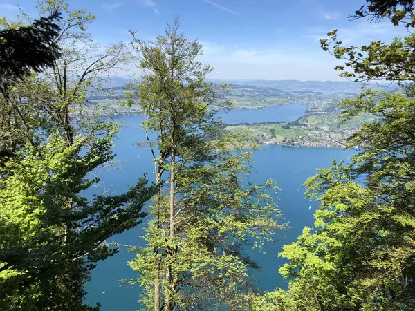 Luzerne Gölü Veya Vierwaldstaettersee Vierwaldsattersee Nin Yukarısındaki Burgenstock Dağı Veya — Stok fotoğraf