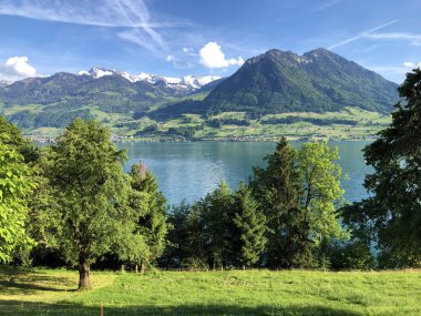 Luzerne Gölü veya Vierwaldstaettersee ya da Vierwaldsattersee 'nin yukarısındaki Burgenstock Dağı veya Buergenstock yamaçlarındaki karışık ağaçlar ve yaprak döken ormanlar İsviçre' nin Nidwalden Kantonu