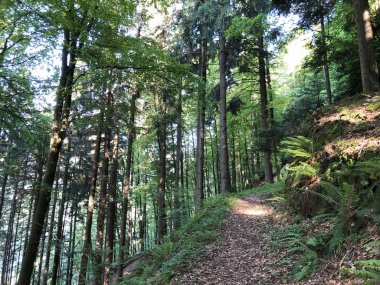 Buergenstock ya da Burgenstock, Ennetbuergen (Ennetbuergen) - İsviçre 'nin Nidwalden Kantonu
