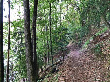Buergenstock ya da Burgenstock, Ennetbuergen (Ennetbuergen) - İsviçre 'nin Nidwalden Kantonu