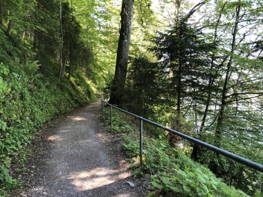 Felsenweg Burgenstock veya Buergenstock - Obburgen veya Obbuergen - İsviçre Nidwalden Kantonu