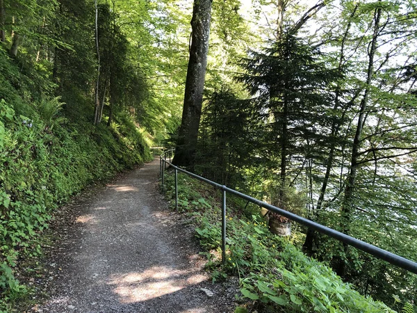 Felsenweg Burgenstock Buergenstock Onderwijspad Met Uitzicht Obburgen Obbuergen Kanton Nidwalden — Stockfoto