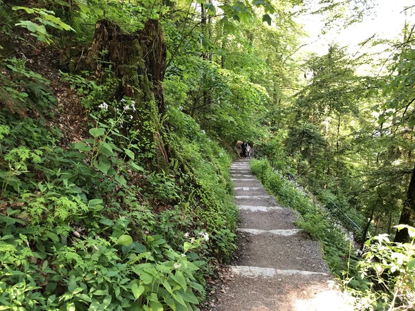 Felsenweg Burgenstock Atau Buergenstock Jejak Pendidikan Dengan Pandangan Obburgen Atau — Stok Foto