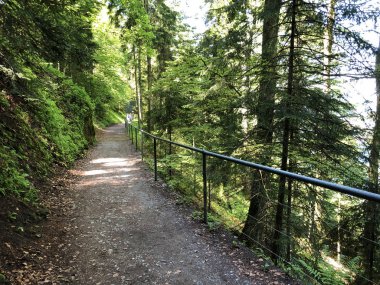 Felsenweg Burgenstock veya Buergenstock - Obburgen veya Obbuergen - İsviçre Nidwalden Kantonu