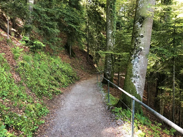 Felsenweg Burgenstock Buergenstock Educational Trail View Obburgen Obbuergen Canton Nidwalden — Stock Photo, Image