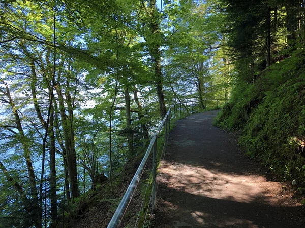 Felsenweg Burgenstock Buergenstock Educational Trail View Obburgen Obbuergen Canton Nidwalden — Stock Photo, Image