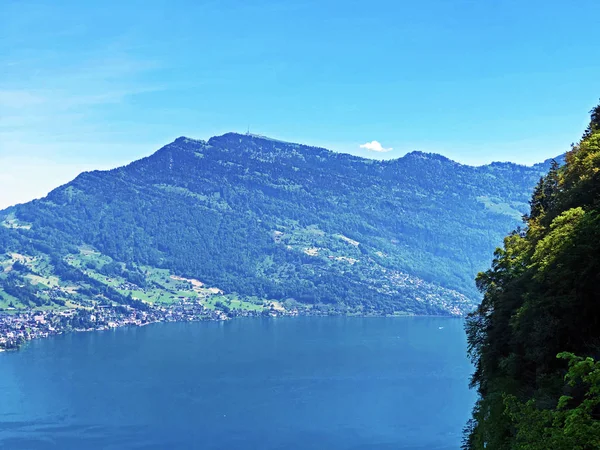 Vista Maciço Alpino Rigi Lago Luzerne Vierwaldstaettersee Vierwaldsattersee Montanha Buergenberg — Fotografia de Stock