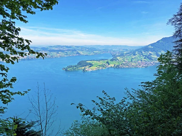 Widok Jezioro Luzerne Lub Vierwaldstaettersee Oder Vierwaldsattersee Góry Burgenberg Lub — Zdjęcie stockowe