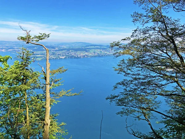 Pemandangan Danau Luzerne Atau Vierwaldstaettersee Oder Vierwaldsattersee Dari Gunung Burgenberg — Stok Foto