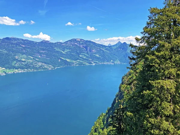 Pohled Jezero Luzerne Nebo Vierwaldstaettersee Oder Vierwaldsattersee Hory Burgenberg Nebo — Stock fotografie