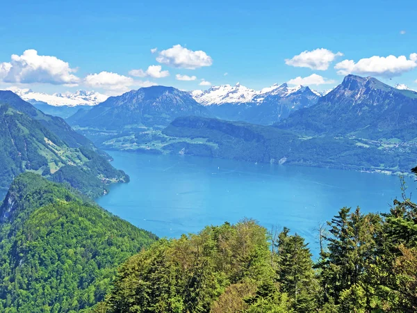 Pemandangan Danau Luzerne Atau Vierwaldstttersee Vierwaldstaettersee Oder Vierwaldsattersee Dari Gunung — Stok Foto