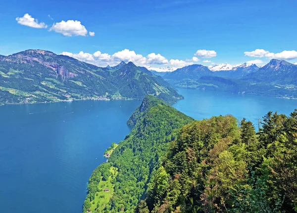 Vista Lago Luzerne Vierwaldstttersee Vierwaldstaettersee Oder Vierwaldsattersee Partir Montanha Brgenberg — Fotografia de Stock