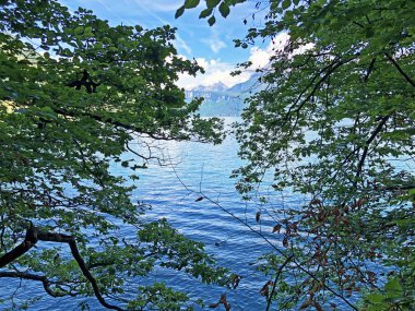 Brgenberg dağı Obbrgen 'den (Obburgen veya Obbuergen) Vierwaldstttersee (Vierwaldstaettersee oder Vierwaldsattersee) görünümü