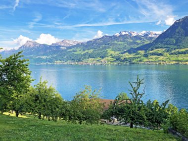 Burgenberg 'den ya da Buergengerg dağından, Obburgen' den ya da Obbuergen 'den Vierwaldstaettersee Oder Vierwaldsattersee - İsviçre' nin Nidwalden Kantonu