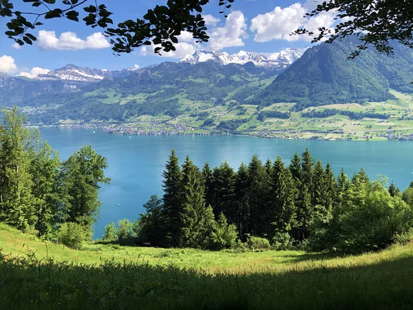 Vista Lago Luzerne Vierwaldstttersee Vierwaldstaettersee Oder Vierwaldsattersee Partir Montanha Brgenberg — Fotografia de Stock