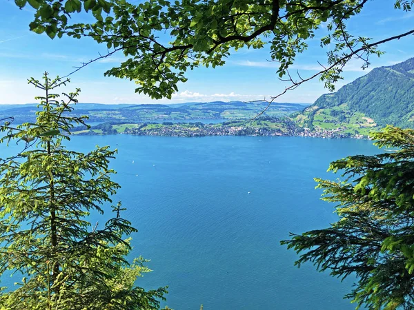 Widok Jezioro Luzerne Lub Vierwaldstttersee Vierwaldstaettersee Oder Vierwaldsattersee Góry Brgenberg — Zdjęcie stockowe