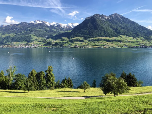 Άποψη Της Λίμνης Luzerne Vierwaldstaettersee Oder Vierwaldsattersee Από Βουνό Burgenberg — Φωτογραφία Αρχείου