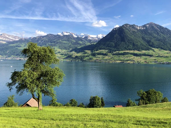 Άποψη Της Λίμνης Luzerne Vierwaldstaettersee Oder Vierwaldsattersee Από Βουνό Burgenberg — Φωτογραφία Αρχείου