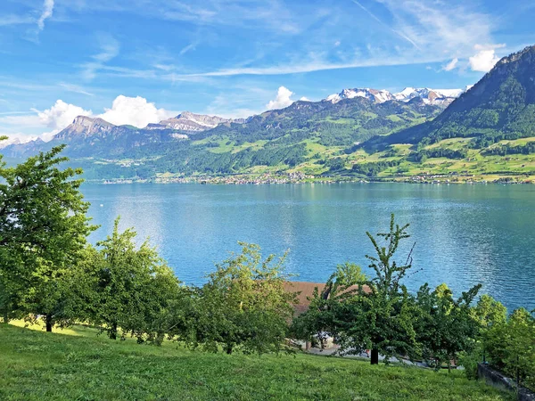 Vista Lago Luzerne Vierwaldstaettersee Oder Vierwaldsattersee Partir Montanha Burgenberg Buergengerg — Fotografia de Stock
