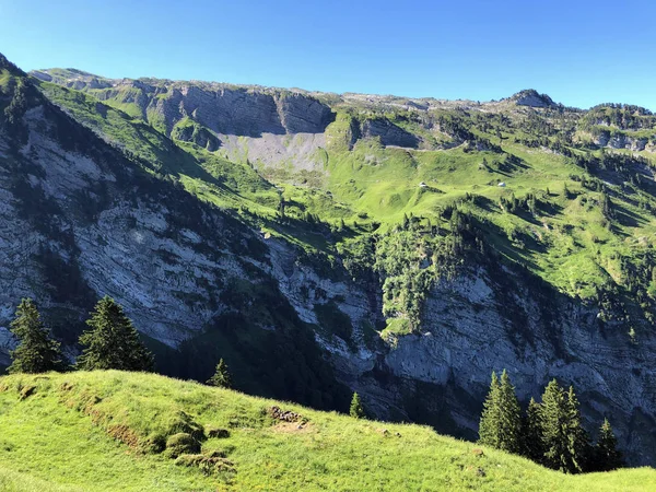 瓦吉塔尔或瓦吉塔尔山谷的高山牧场和牧场 以及瑞士施维茨州内塔塔尔湖 瓦吉塔勒湖 的高山牧场和草地 — 图库照片