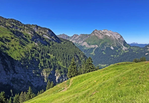ワギタルまたはワギタルの谷と高山湖ワギタレルゼー ワギタレルゼー インナータール シュヴィーツ州 スイスの広州の高山牧草地と草原 — ストック写真