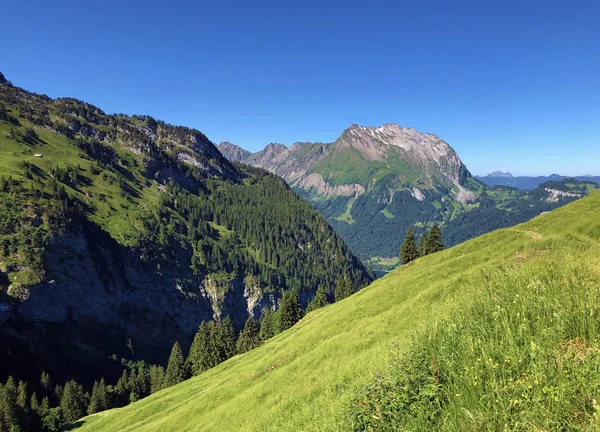 ワギタルまたはワギタルの谷と高山湖ワギタレルゼー ワギタレルゼー インナータール シュヴィーツ州 スイスの広州の高山牧草地と草原 — ストック写真