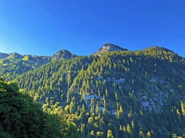Wagital veya Waegital vadisinde ve Alp gölü Wagitalersee (Waegitalersee), Innerthal - Kaçton Schwyz, İsviçre