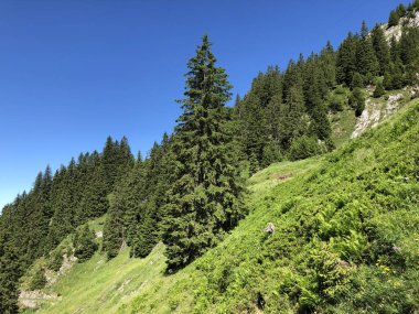 Wagital veya Waegital vadisinde ve Alp gölü Wagitalersee (Waegitalersee), Innerthal - Kaçton Schwyz, İsviçre