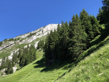 Wagital veya Waegital vadisinde ve Alp gölü Wagitalersee (Waegitalersee), Innerthal - Kaçton Schwyz, İsviçre