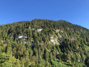 Wagital veya Waegital vadisinde ve Alp gölü Wagitalersee (Waegitalersee), Innerthal - Kaçton Schwyz, İsviçre