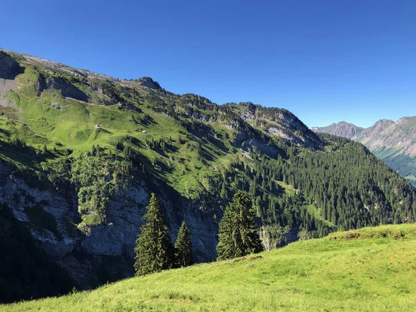 Evergreen Coniferous Forests Valley Wagital Waegital Alpine Lake Wagitalersee Waegitalersee — Stock Photo, Image