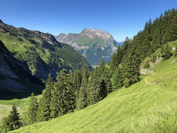 Stálezelené Nebo Jehličnaté Lesy Údolí Wagital Nebo Waegital Alpské Jezero — Stock fotografie