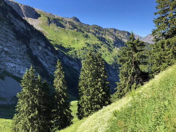 Immergrüne Oder Nadelwälder Tal Von Wagital Oder Waegital Und Wagitalersee — Stockfoto